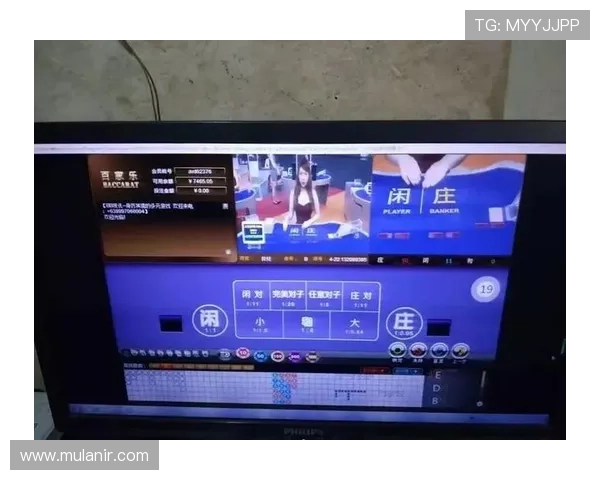 百家乐电脑版官方下载安全稳定，轻松体验真实赌场乐趣